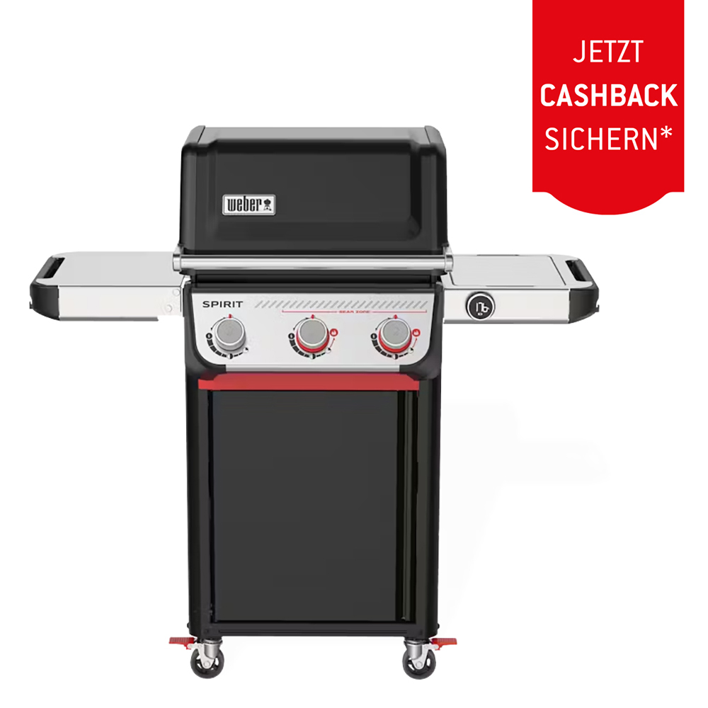Picture of Weber Spirit EP-325 (1500912) + 50.– Cashback
