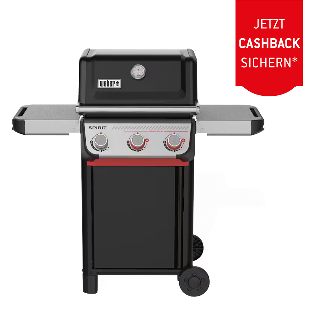 Picture of Weber Spirit E-325 GBS (1500903) + 50.– Cashback