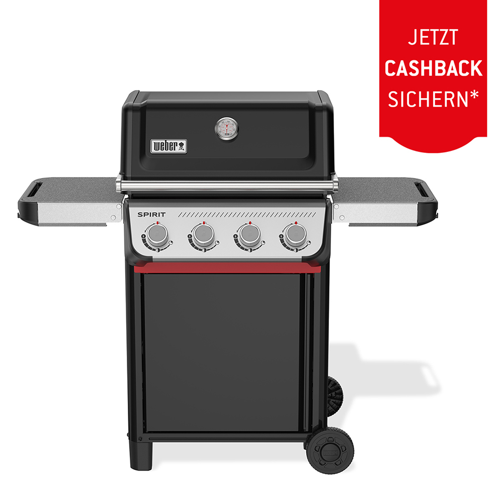 Picture of Weber Spirit E-415 (1502099) + 50.– Cashback