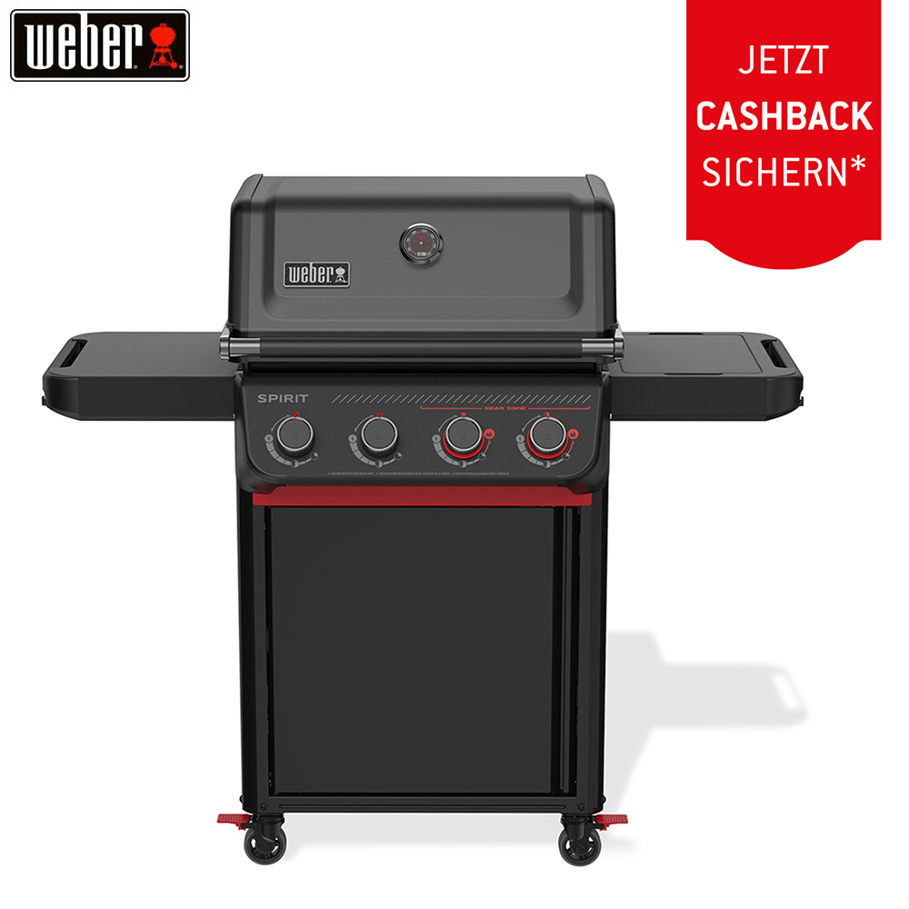 Bild von Weber Spirit E-425C STEALTH (1502320) + 50.– Cashback