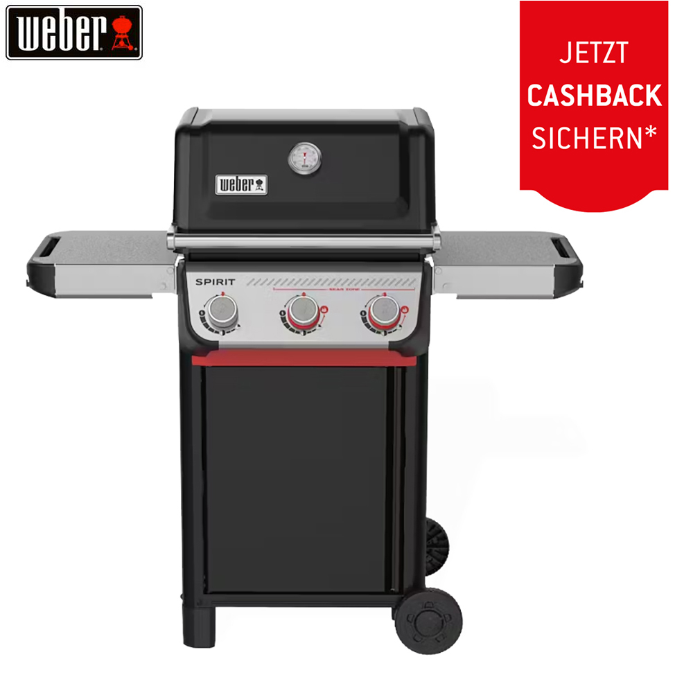Bild von Weber Spirit E-325 GBS (1500903) + 50.– Cashback