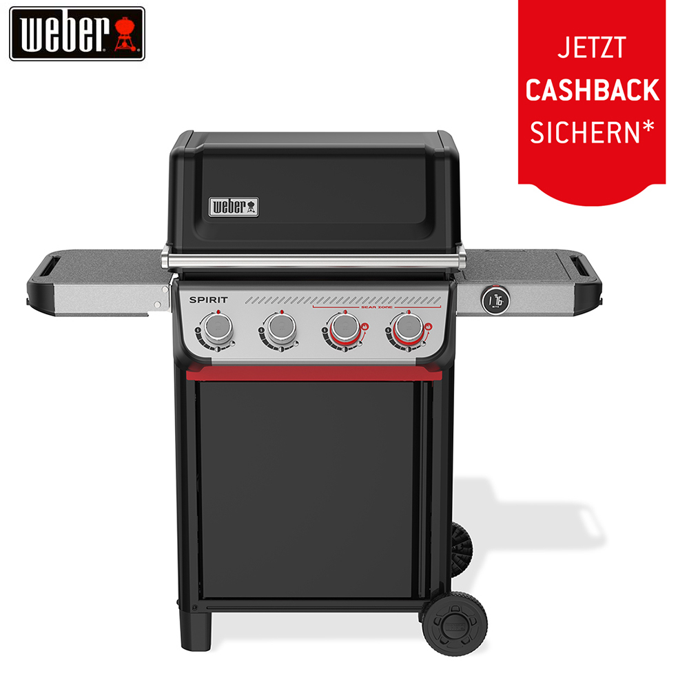 Bild von Weber Spirit EX-425 LP BLK (1502150) + 50.– Cashback