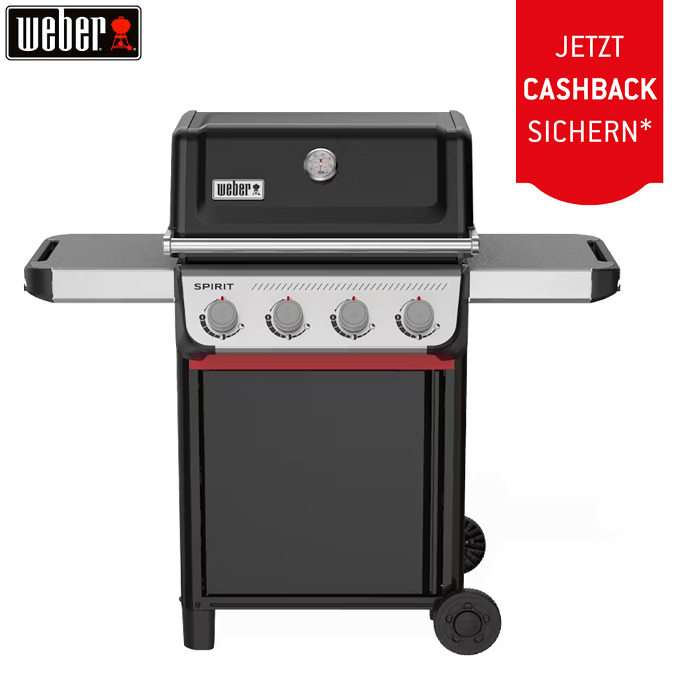 Bild von Weber Spirit E-410 (1500894) + 50.– Cashback