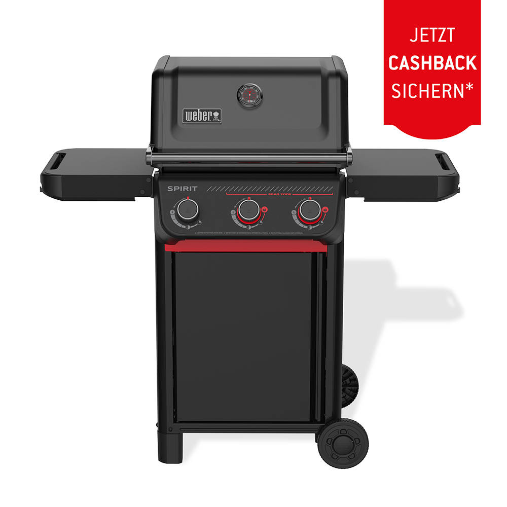 Weber Spirit E-325 STEALTH (1502322) + Fr. 50.– Cashback